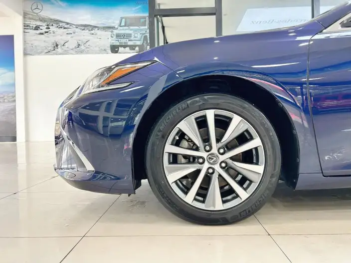 Lexus ES 2021 Model 300h Premium – фото 9