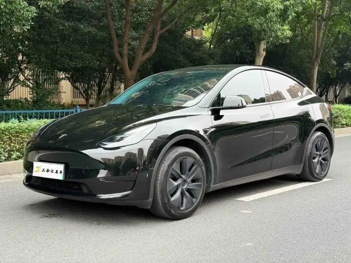 Model Y 2023 Model Rear-wheel drive version – фото 1
