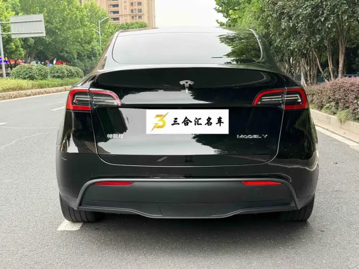 Model Y 2023 Model Rear-wheel drive version – фото 4