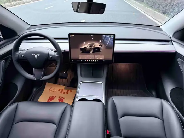 Model Y 2023 Model Rear-wheel drive version – фото 9