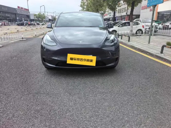 Model Y 2024 Model Long Battery Life Pro All-wheel drive version – фото 2