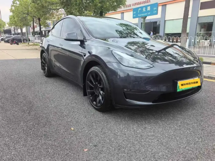 Model Y 2024 Model Long Battery Life Pro All-wheel drive version – фото 3