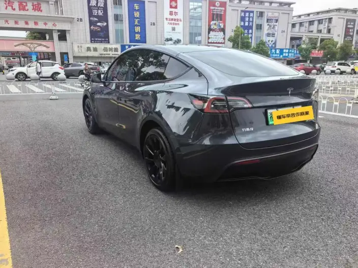 Model Y 2024 Model Long Battery Life Pro All-wheel drive version – фото 4