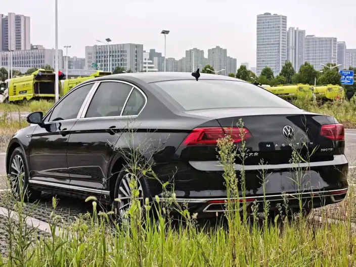 Volkswagen Magotan 2020 Model 330TSI DSG Leading Model – фото 4