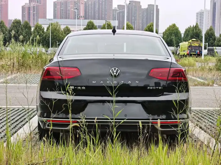 Volkswagen Magotan 2020 Model 330TSI DSG Leading Model – фото 5