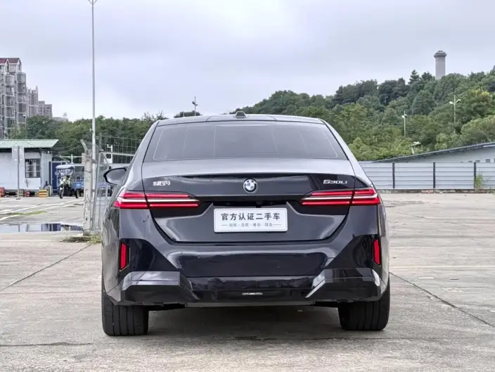 BMW 5 Series 2025 Model 530Li Exclusive Model M Sports Set – фото 6
