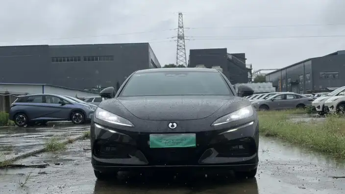 DENZA Z9GT EV 2024 Model 630 4WD Pro Edition – фото 2