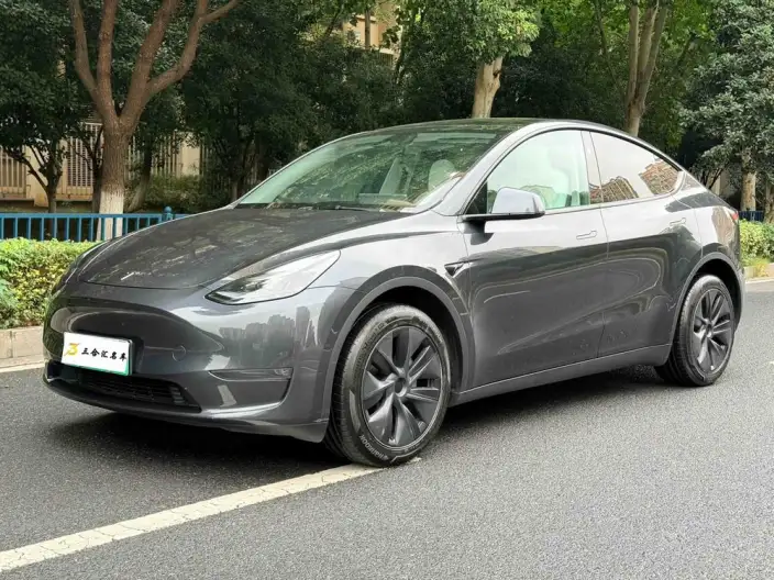 Model Y 2024 Model Long Battery Life Pro All-wheel drive version