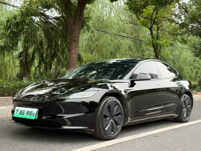 Model 3 2023 Model Rear-wheel drive version – фото 1