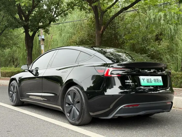 Model 3 2023 Model Rear-wheel drive version – фото 4