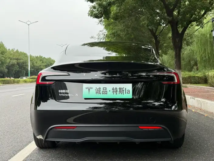Model 3 2023 Model Rear-wheel drive version – фото 5