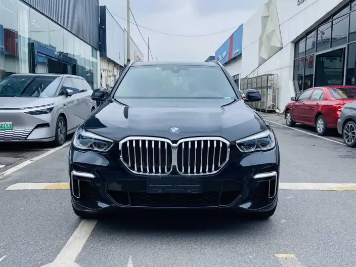 BMW X5 2022 Model Facelift xDrive 40Li M Sports Set – фото 2