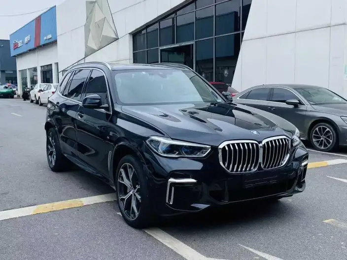 BMW X5 2022 Model Facelift xDrive 40Li M Sports Set – фото 3
