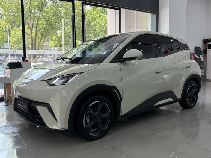 BYD Seagull 2025 Model Smart Driving Edition 305KM Free Edition – фото 1