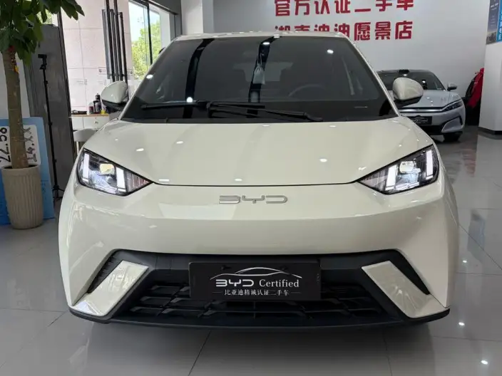 BYD Seagull 2025 Model Smart Driving Edition 305KM Free Edition – фото 2