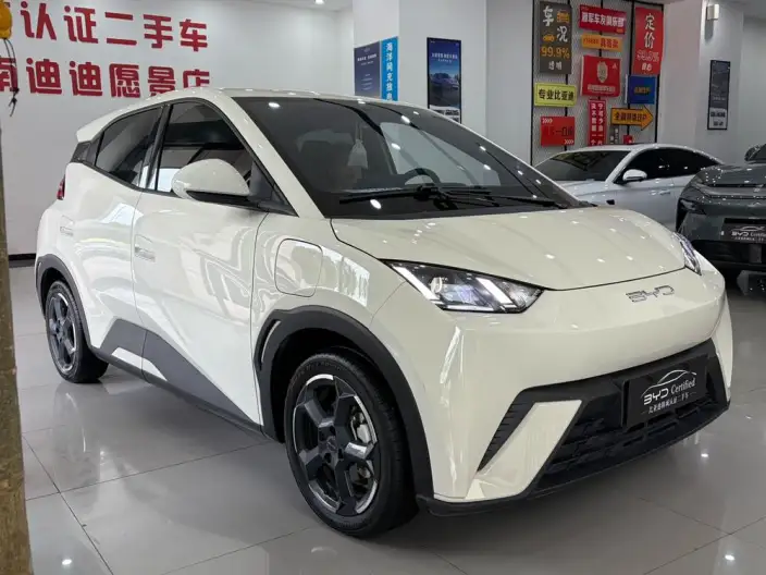BYD Seagull 2025 Model Smart Driving Edition 305KM Free Edition – фото 3