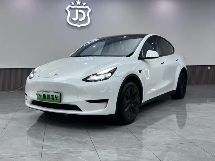 Model Y 2024 Model Rear-wheel drive version – фото 1