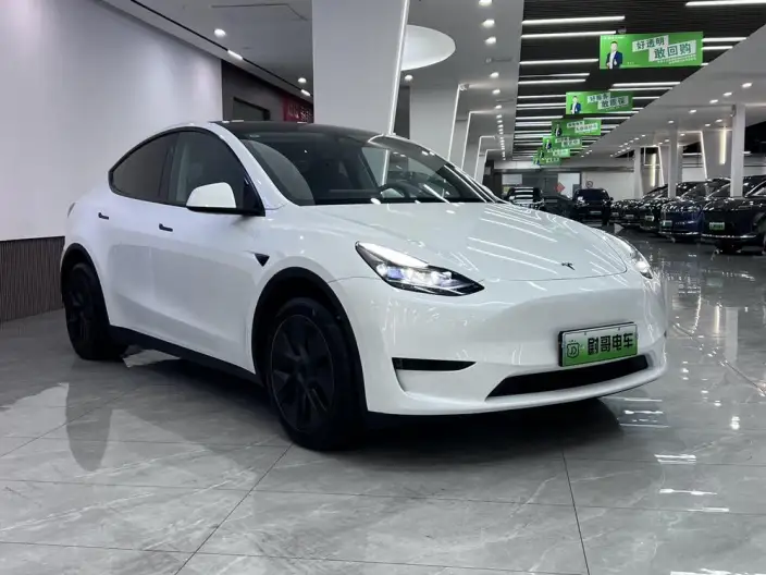 Model Y 2024 Model Rear-wheel drive version – фото 3