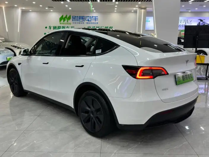 Model Y 2024 Model Rear-wheel drive version – фото 4