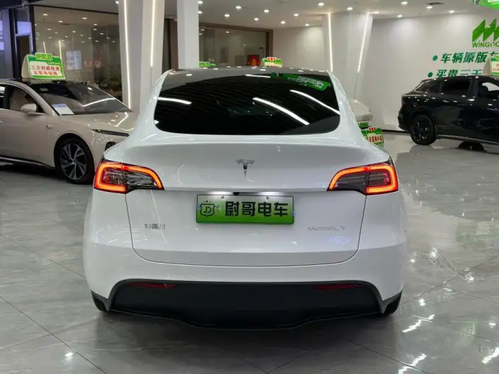 Model Y 2024 Model Rear-wheel drive version – фото 5