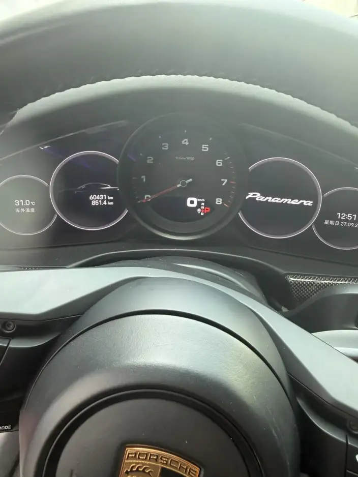 Panamera 2021 Model Panamera 2.9T – фото 8