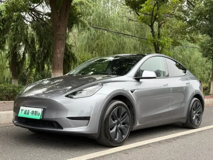 Model Y 2024 Model Rear-wheel drive version – фото 1