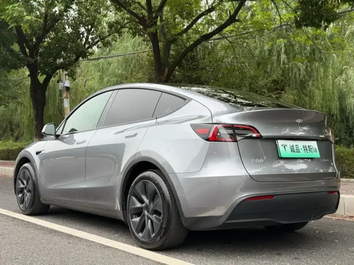 Model Y 2024 Model Rear-wheel drive version – фото 5
