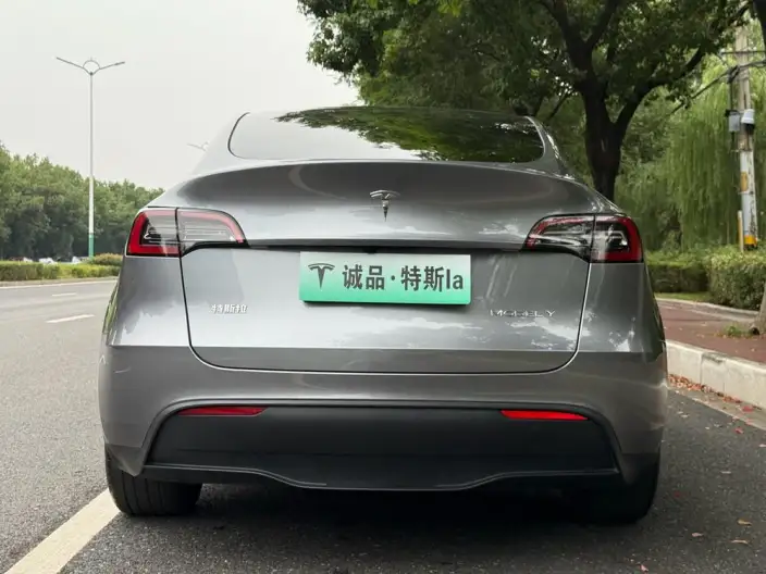 Model Y 2024 Model Rear-wheel drive version – фото 6