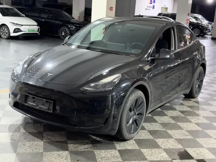 Model Y 2023 Model Rear-wheel drive version – фото 1