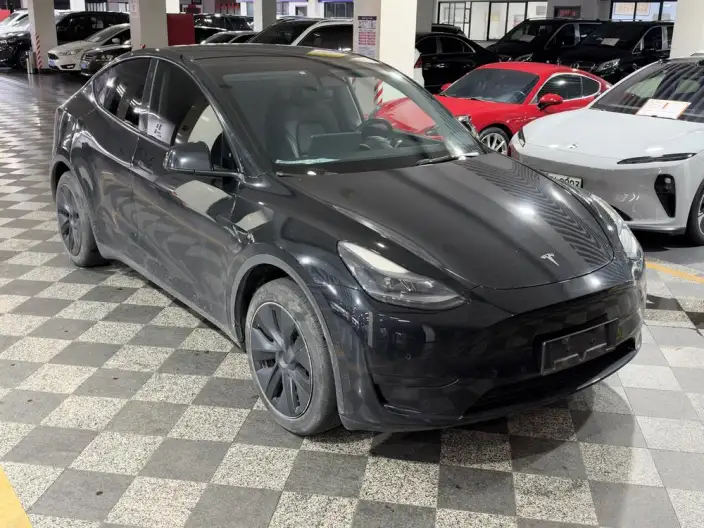Model Y 2023 Model Rear-wheel drive version – фото 3