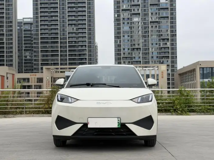 BYD Seagull 2025 Model Smart Driving Edition 305KM Vitality Edition – фото 2