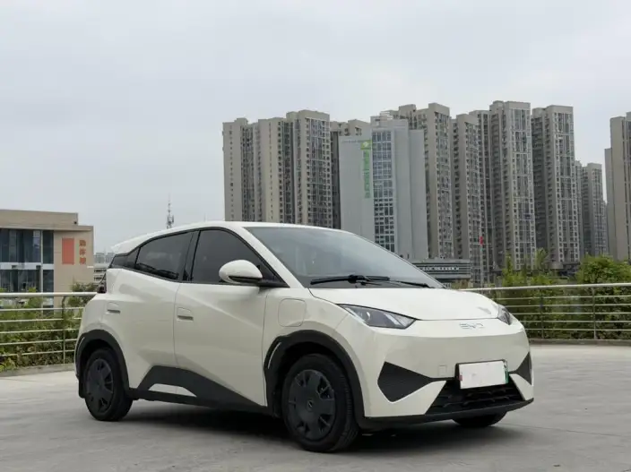 BYD Seagull 2025 Model Smart Driving Edition 305KM Vitality Edition – фото 3