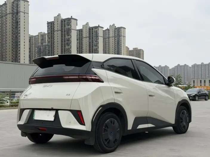 BYD Seagull 2025 Model Smart Driving Edition 305KM Vitality Edition – фото 6