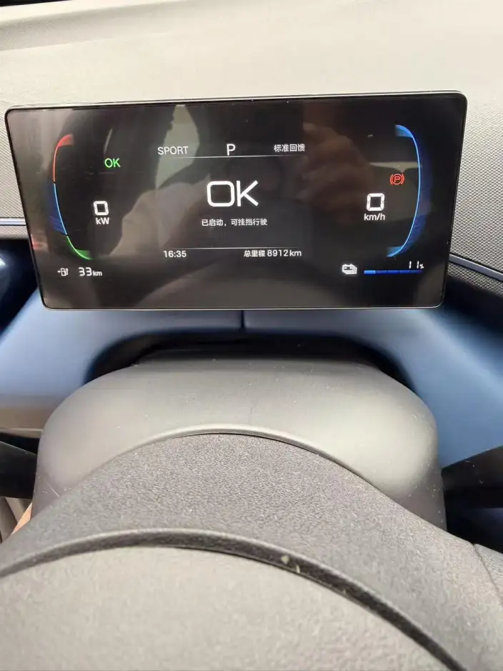 BYD Seagull 2025 Model Smart Driving Edition 305KM Vitality Edition – фото 8