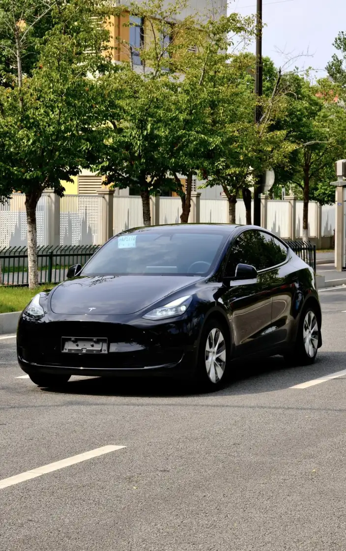 Model Y 2023 Model Rear-wheel drive version – фото 1