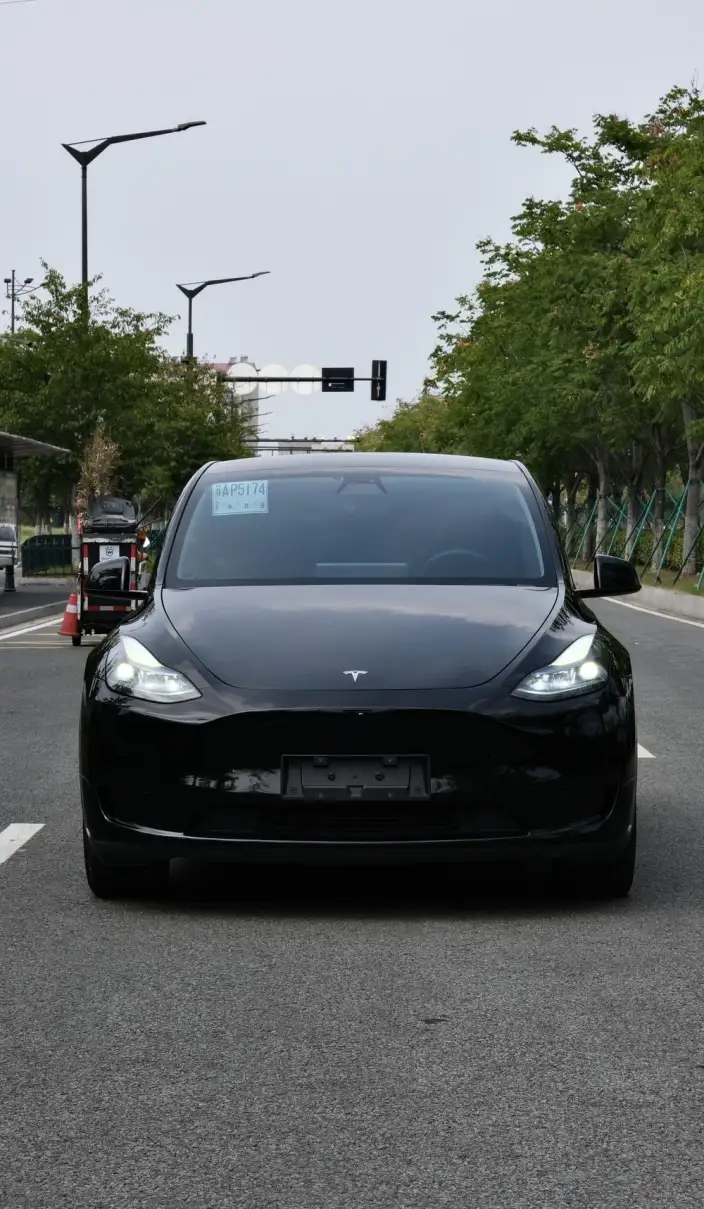 Model Y 2023 Model Rear-wheel drive version – фото 2