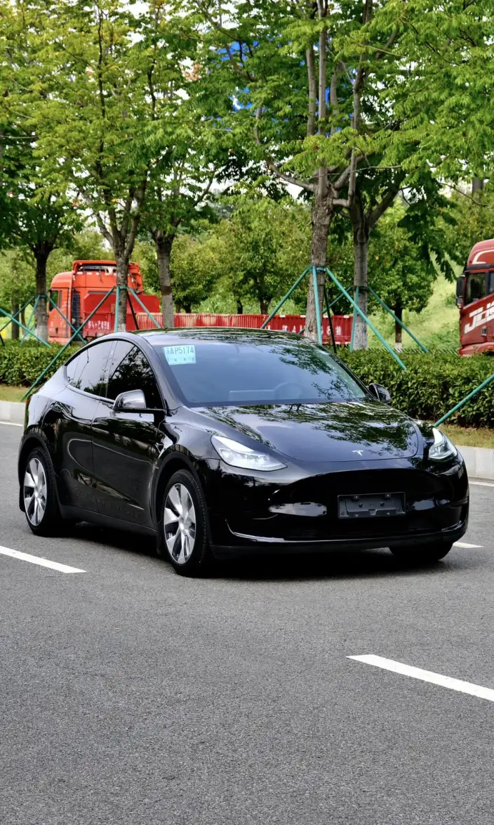 Model Y 2023 Model Rear-wheel drive version – фото 3