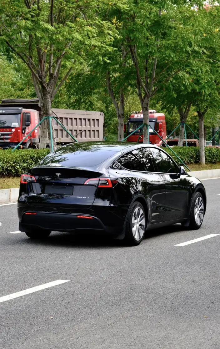 Model Y 2023 Model Rear-wheel drive version – фото 6