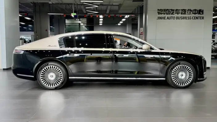 Zunjie S800 2025 Model EV Starlight Executive Edition 4 seat – фото 6
