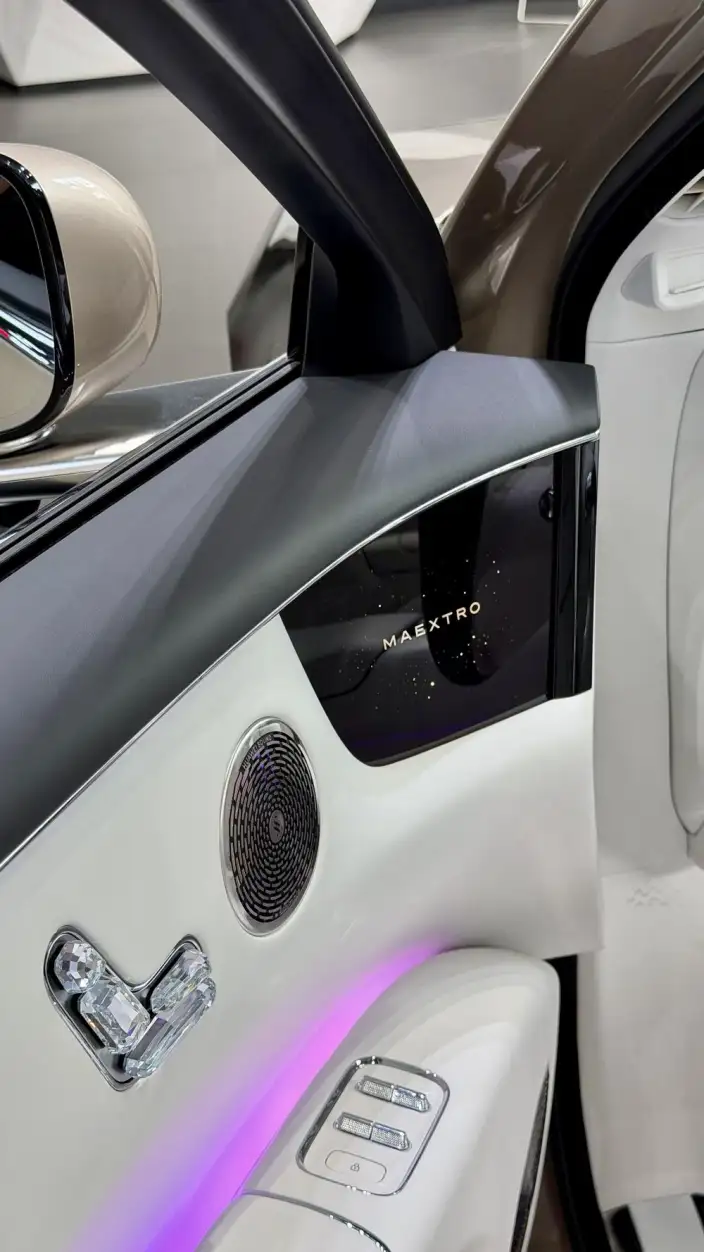Zunjie S800 2025 Model EV Starlight Executive Edition 4 seat – фото 8