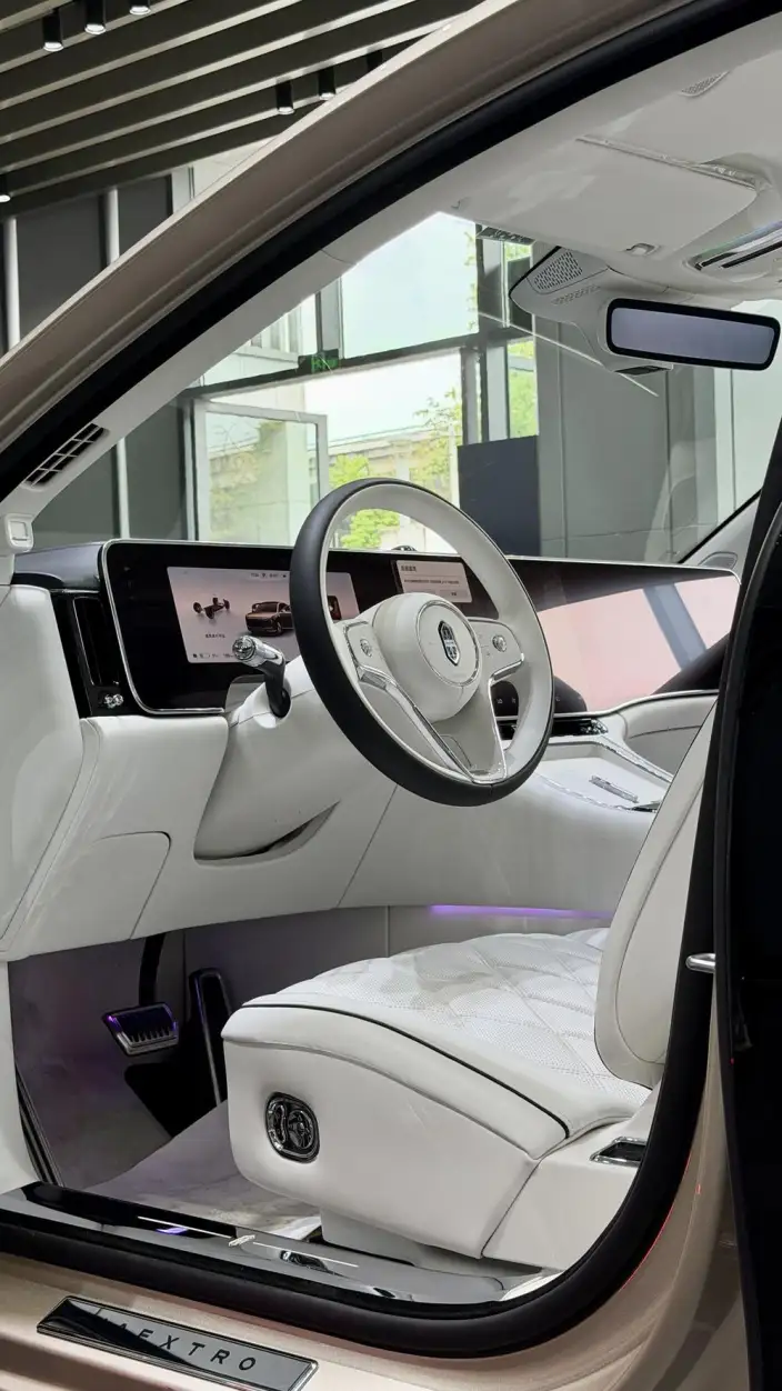 Zunjie S800 2025 Model EV Starlight Executive Edition 4 seat – фото 10