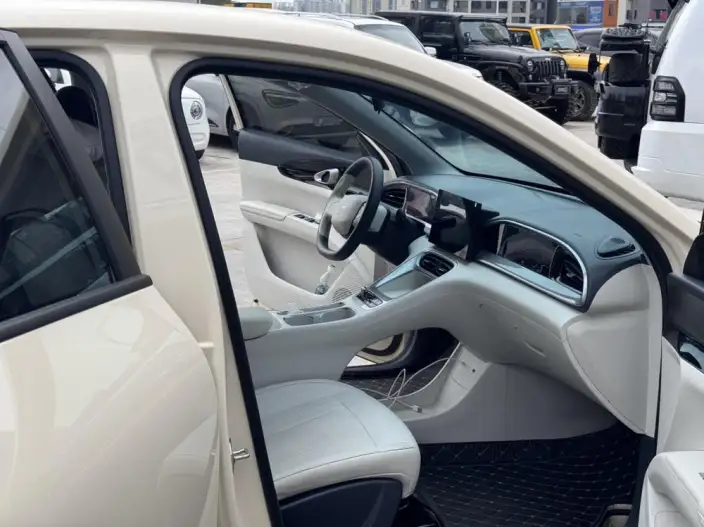 Geely Galaxy StarWish 2025 Model 310km Youth Edition – фото 9