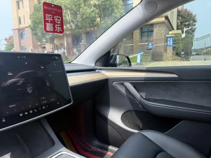 Model Y 2022 Model Facelift Rear-wheel drive version – фото 6