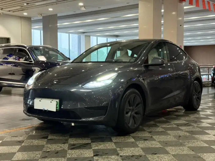 Model Y 2024 Model Rear-wheel drive version – фото 1