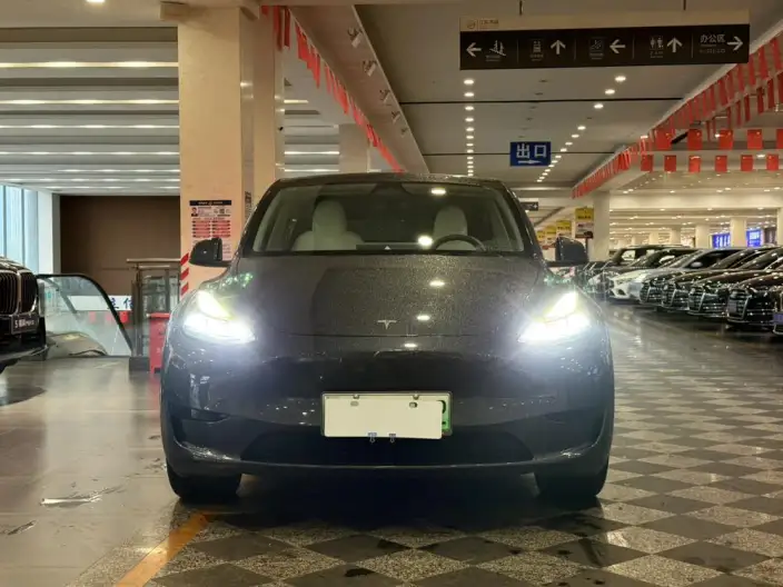 Model Y 2024 Model Rear-wheel drive version – фото 2