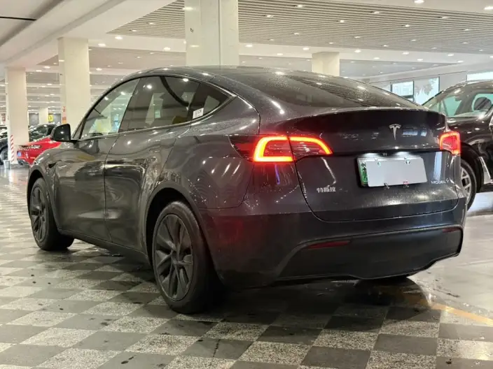 Model Y 2024 Model Rear-wheel drive version – фото 4