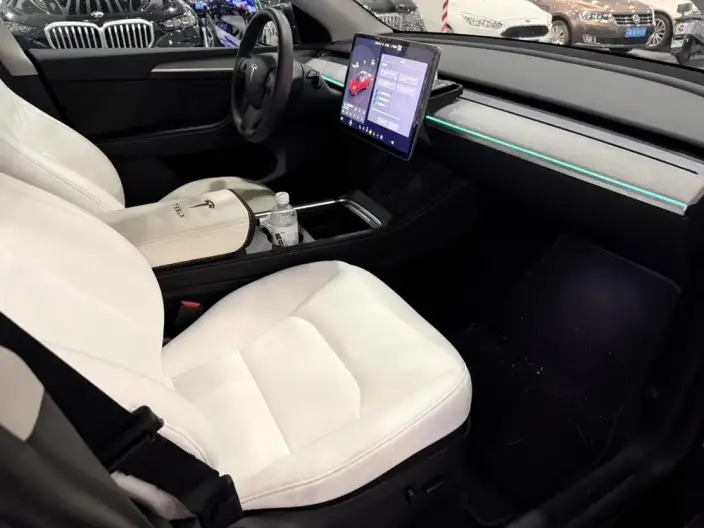 Model Y 2024 Model Rear-wheel drive version – фото 6