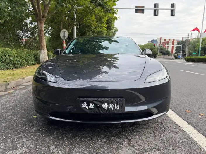 Model 3 2023 Model Rear-wheel drive version – фото 2