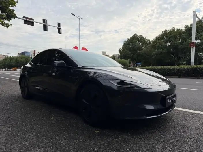 Model 3 2023 Model Rear-wheel drive version – фото 3