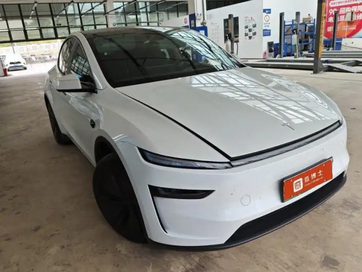Model Y 2025 Model Rear-wheel drive version – фото 2
